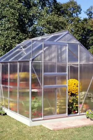 Voordeelprijs Royal Well Tuinkas Popular 86 Polycarbonaat